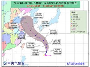 14号台风路径最新消息（台风最新消息台风实时路径台风）