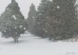 河北将迎大雪大风降温，寒潮来袭，全省进入速冻模式