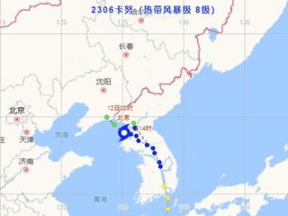 2023台风实时路径，风雨中的守望与科技的力量