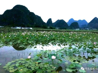 恭城天气，山水间的四季诗篇