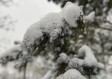 未来45天天气预报情况（未来45天天气预报情况许昌）