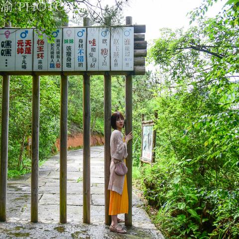 沁水十五天气预报15天（沁水十五天气预报15天查询）