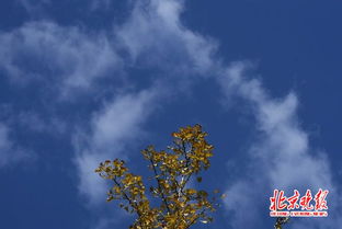 江西吉安未来15天天气预报,春意渐浓,注意天气变化 江西吉安未来15天天气预报,春意渐浓,注意天气变化