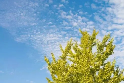 幸运快乐10分-郑州天气15天，从秋雨连绵到晴空万里的季节变奏曲