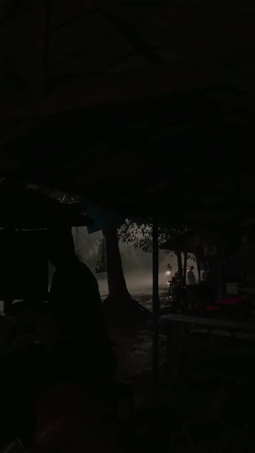 等一场雨,在不确定的时光里 等一场雨,在不确定的时光里