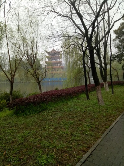 荆州天气预报，一江烟雨中的春秋变幻