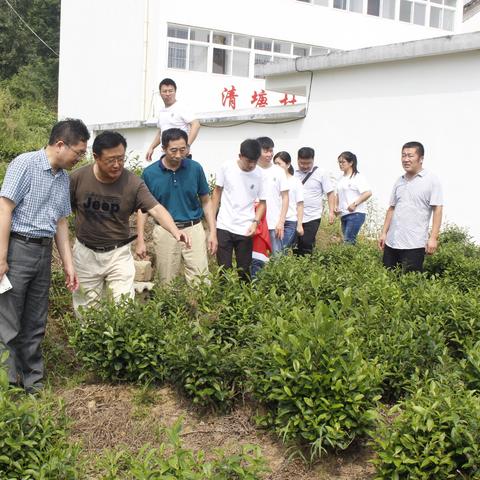 河南今后15天最新天气,冷热交替频繁,需注意防寒与出行安全 河南今后15天最新天气,冷热交替频繁,需注意防寒与出行安全