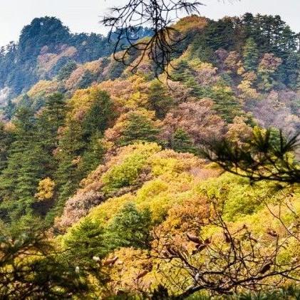 南阳天气预报15天，秋意渐浓，气温起伏需注意