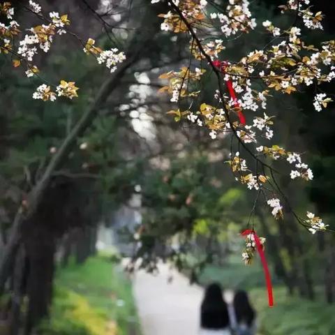 江苏扬州天气，烟雨江南的温柔与变幻