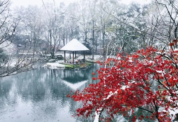 宜春天气,四季流转中的温润诗意 宜春天气,四季流转中的温润诗意