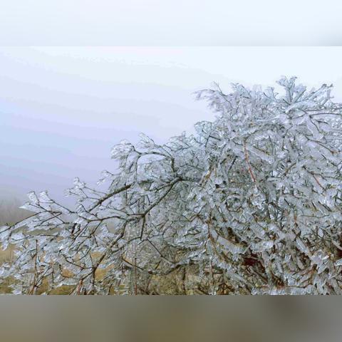 焦作天气预报15天，掌握天气变化，从容规划生活