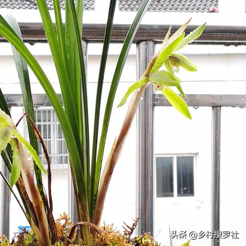 中国天气网预警,科技与责任编织的安全之网 中国天气网预警,科技与责任编织的安全之网
