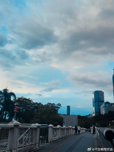 广东深圳天气，一座城市的呼吸与脉搏