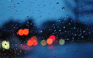 邹平天气,四季流转间的诗意与烟火 邹平天气,四季流转间的诗意与烟火