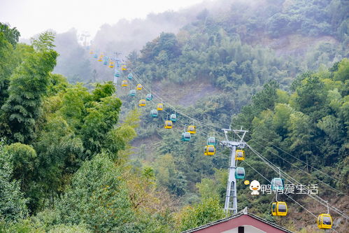 赤水天气预报,丹霞翠竹间的天气密码,你的出行指南 赤水天气预报,丹霞翠竹间的天气密码,你的出行指南