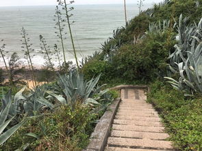 厦门下雨天影响旅游吗？一场雨中的别样风景