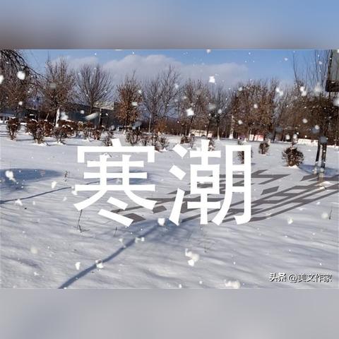 2023年最新版天气预报APP免费下载安装指南，精准预报，出行无忧