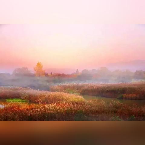 杭州天气,十天后的秋意与二十五天后的深秋猜想 杭州天气,十天后的秋意与二十五天后的深秋猜想
